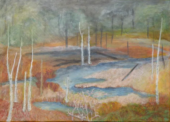 Gedeihen und Vergehen im Moor, 2024